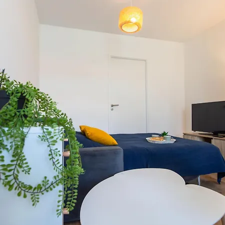 Cap Ocean-14 By Interhome Apartment *