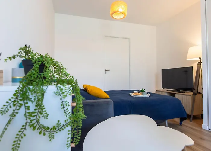 Cap Ocean-14 By Interhome Apartment *